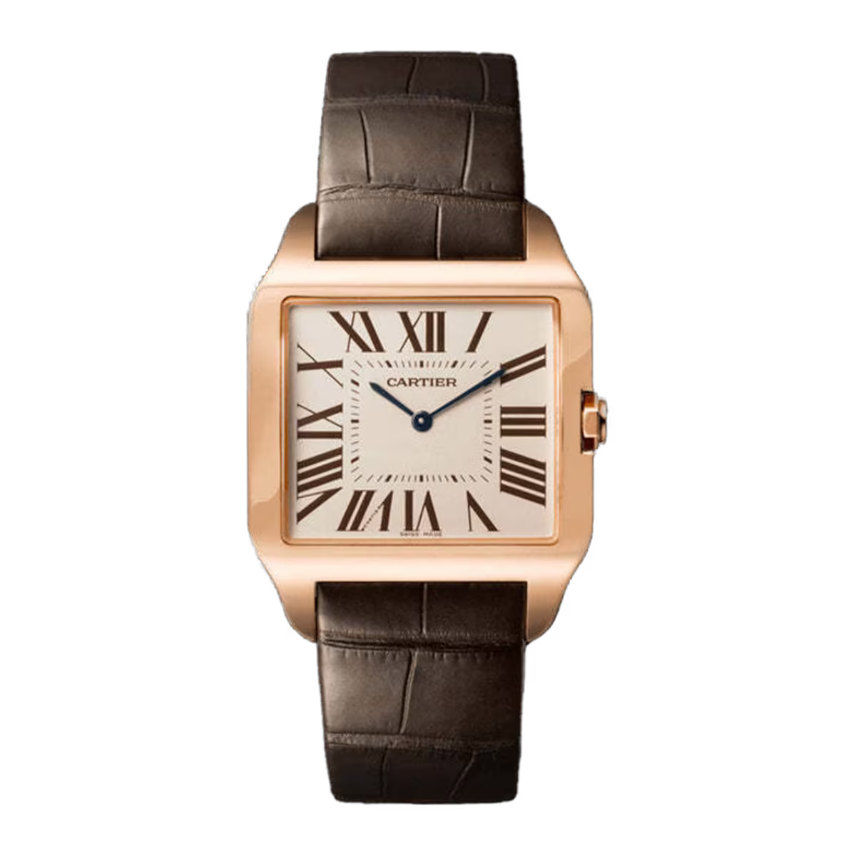Cartier Santos de Cartier W2006951