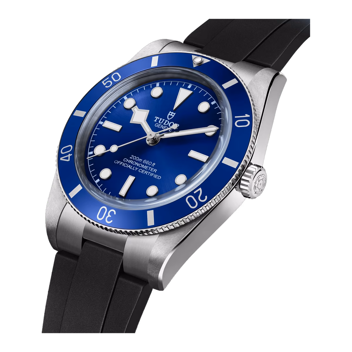 Tudor Black Bay 54 37MM