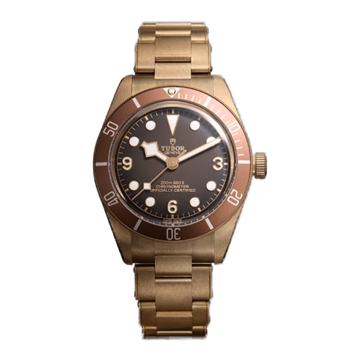 Tudor Black Bay 58 Bronze 39MM M79012M-0001