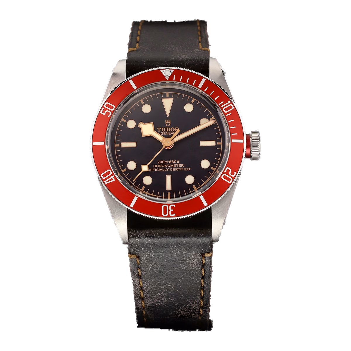 Tudor BLACK BAY HERITAGE RED BURGUNDY 41mm M79230R